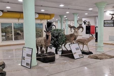 ایجاد موزه تنوع زیستی در قلعه فلک‌الافلاک خرم‌آباد