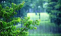 میانگین بارندگی های اخیر لرستان ۲۰.۳ میلیمتر ثبت شد