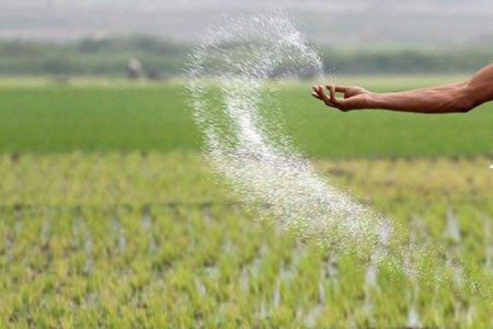 توزیع ۱۰ هزار تن کود کشت بهاره بین کشاورزان لرستانی