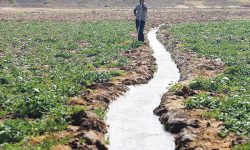 آبیاری ۵۰۰ هکتار از مزارع کشاورزی در لرستان